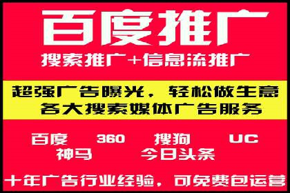 成功案例：专业SEM托管服务助力企业抢占行业制高点